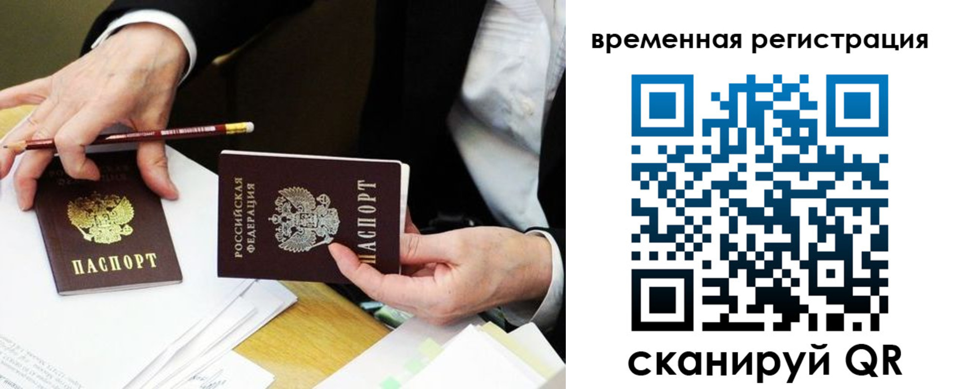прописка законно в Светлогорске